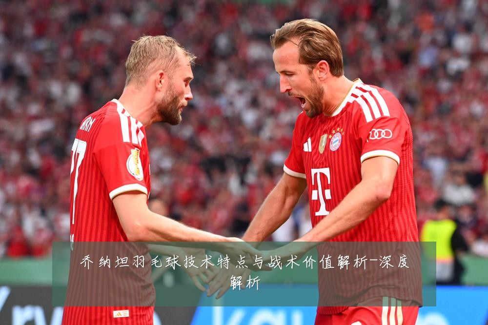 乔纳坦羽毛球技术特点与战术价值解析-深度解析