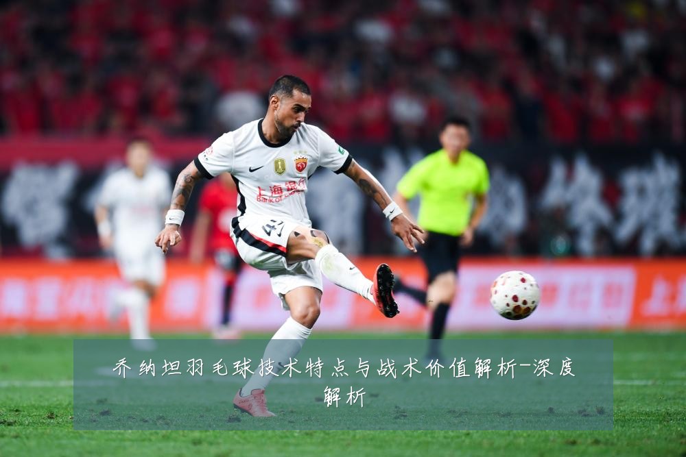 乔纳坦羽毛球技术特点与战术价值解析-深度解析