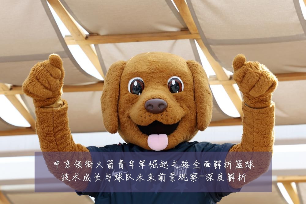 申京领衔火箭青年军崛起之路全面解析篮球技术成长与球队未来前景观察-深度解析